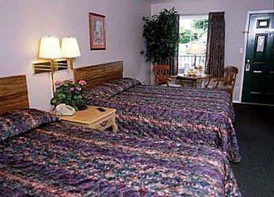 Surrey Inn Branson Rom bilde